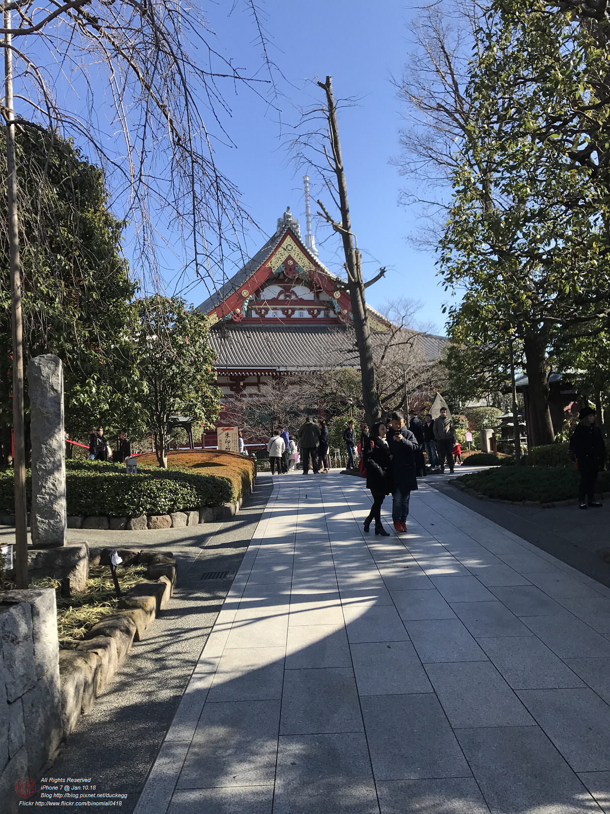 20180110123432_iPhone 7.jpg